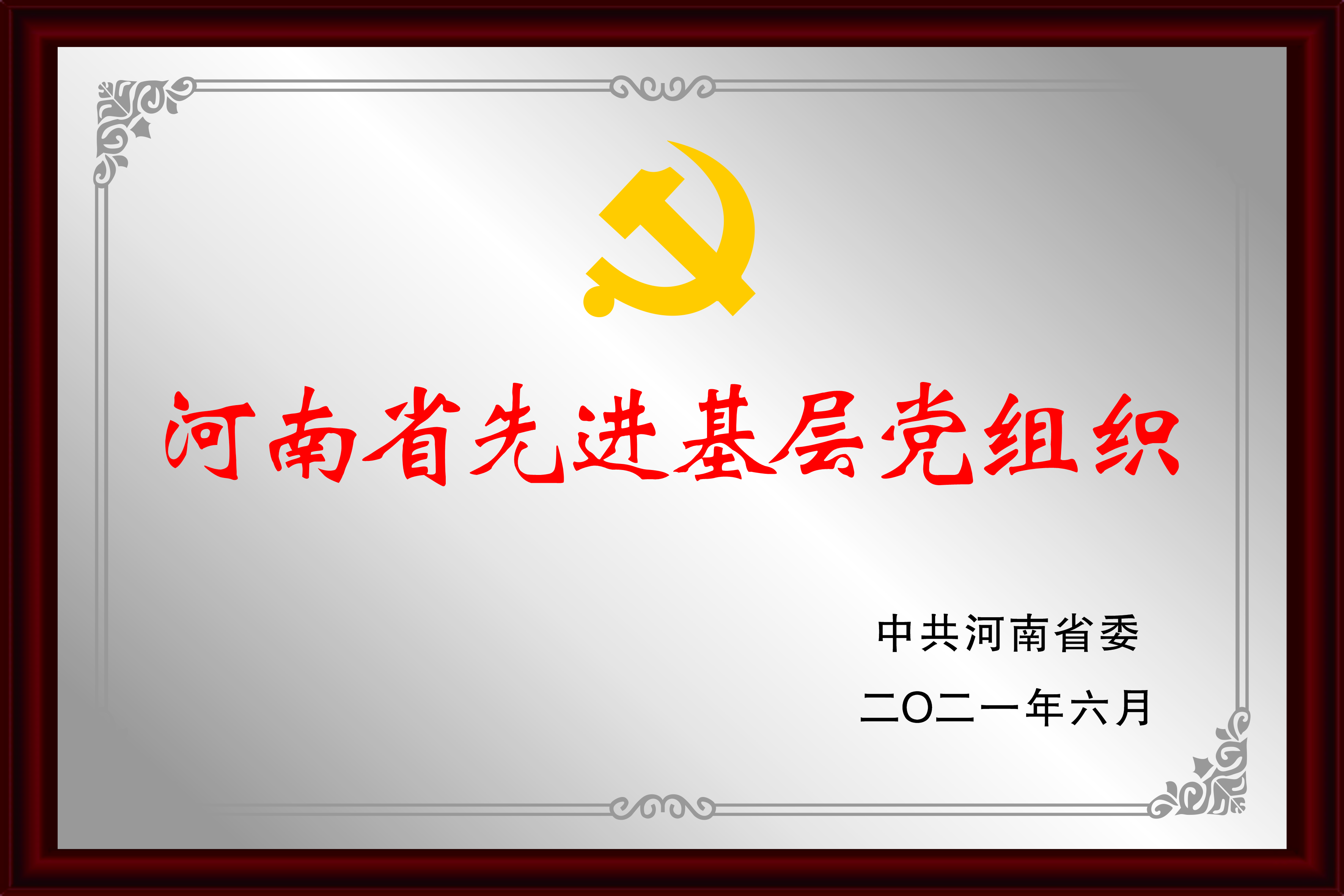 河南省先进基层党组织